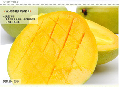 海南澳芒 熱帶陽光的黃金饋贈，美容養(yǎng)顏的自然密碼
